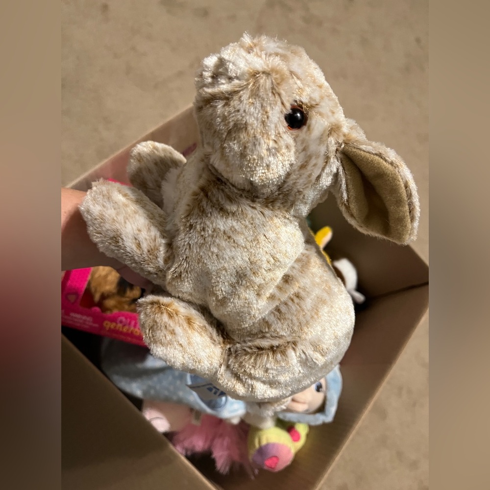 Stuffed bunny